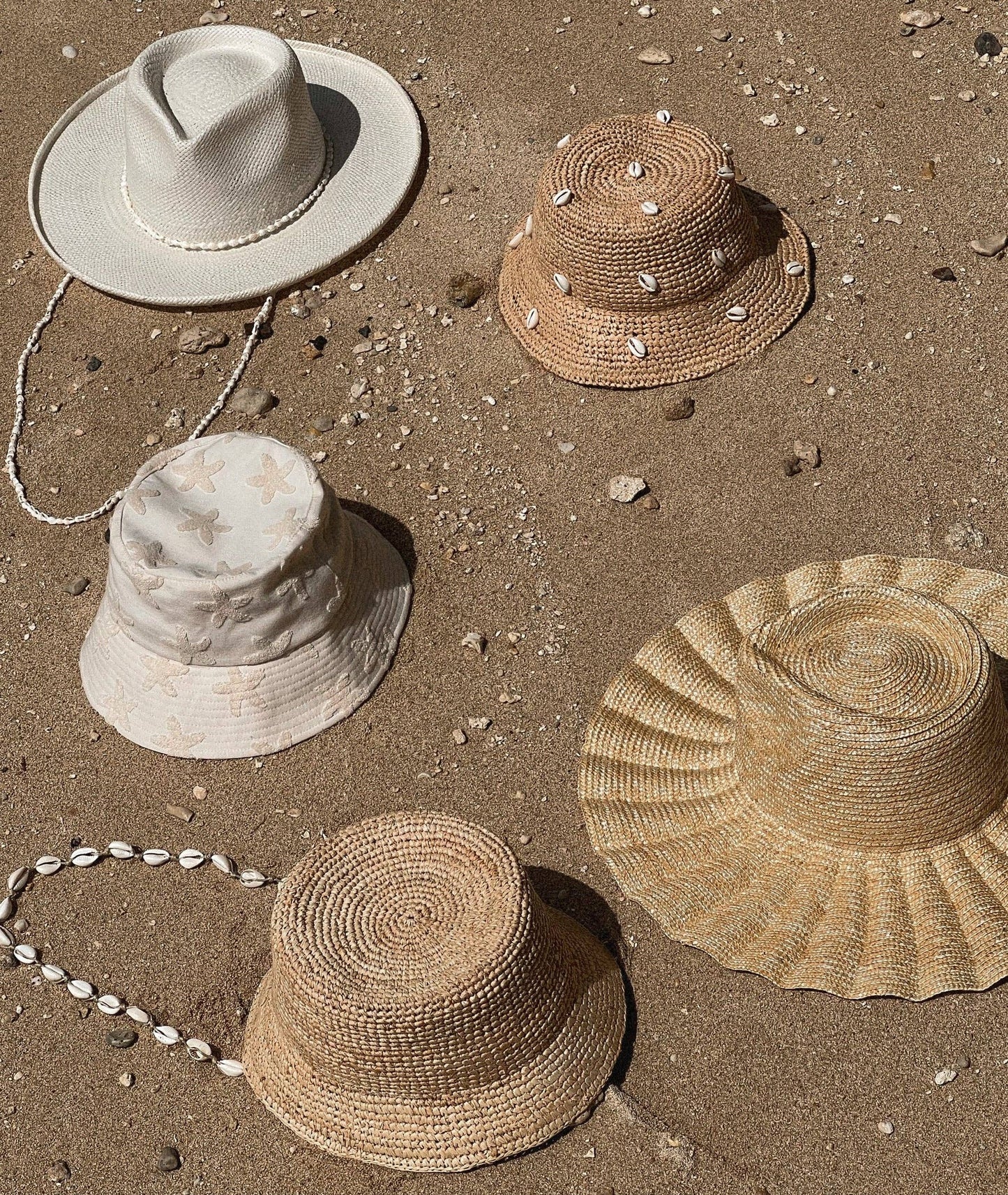 Cowrie Shell - Hat Chin Strap