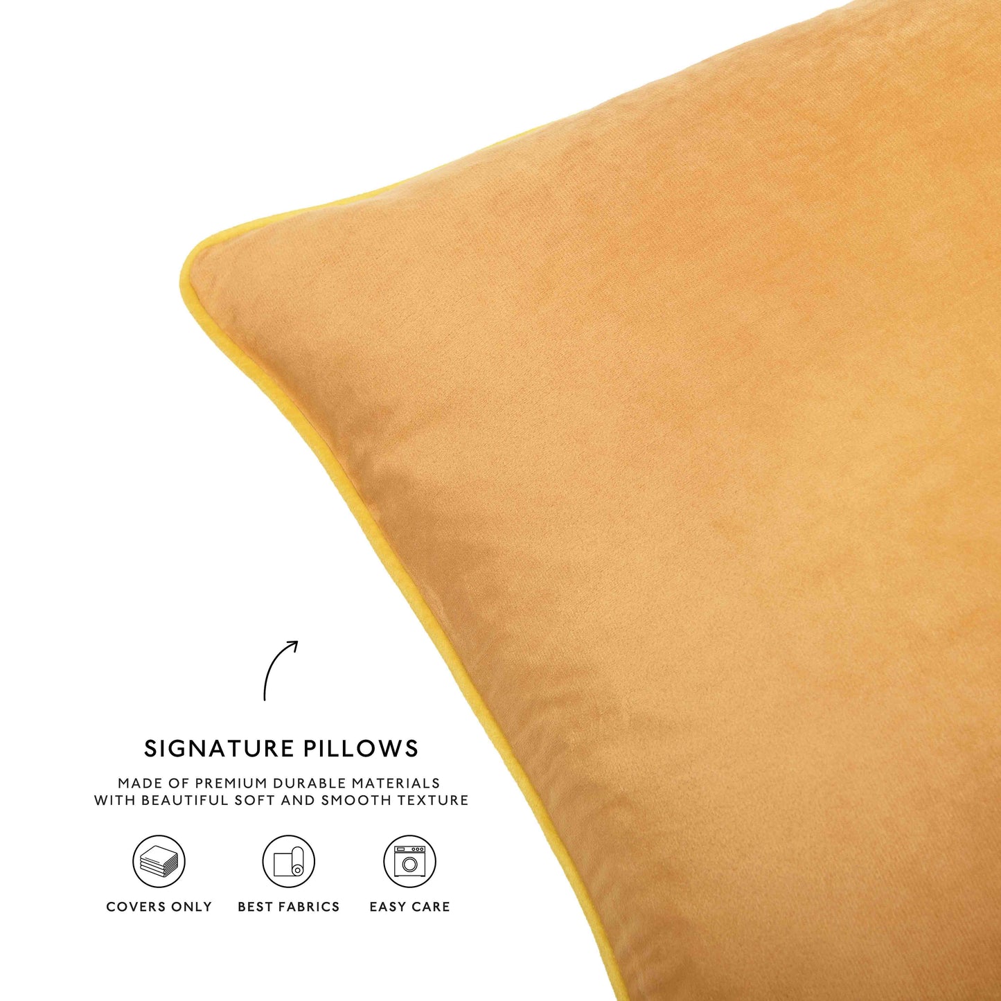 Palm Desert Velvet Pillow