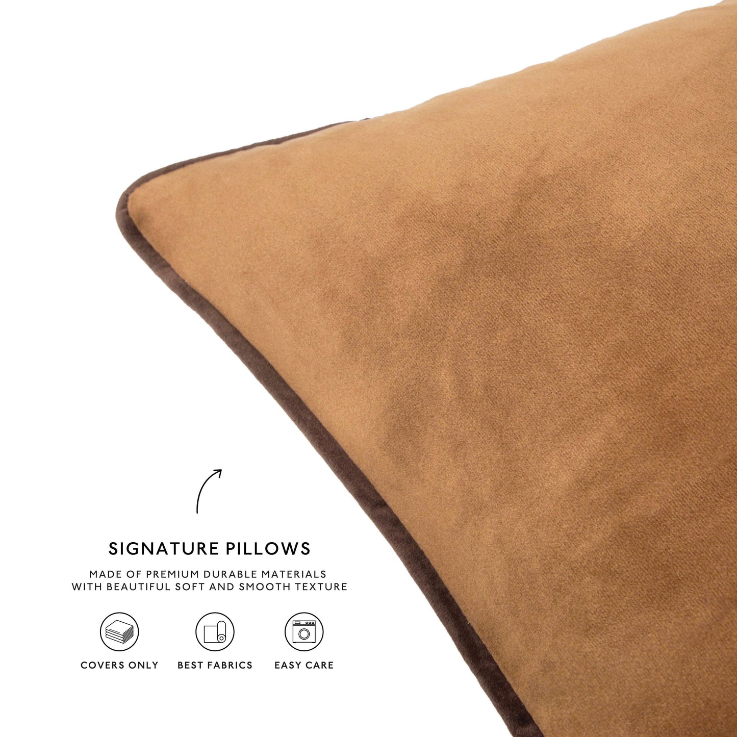 Rancho Mirage Velvet Pillow