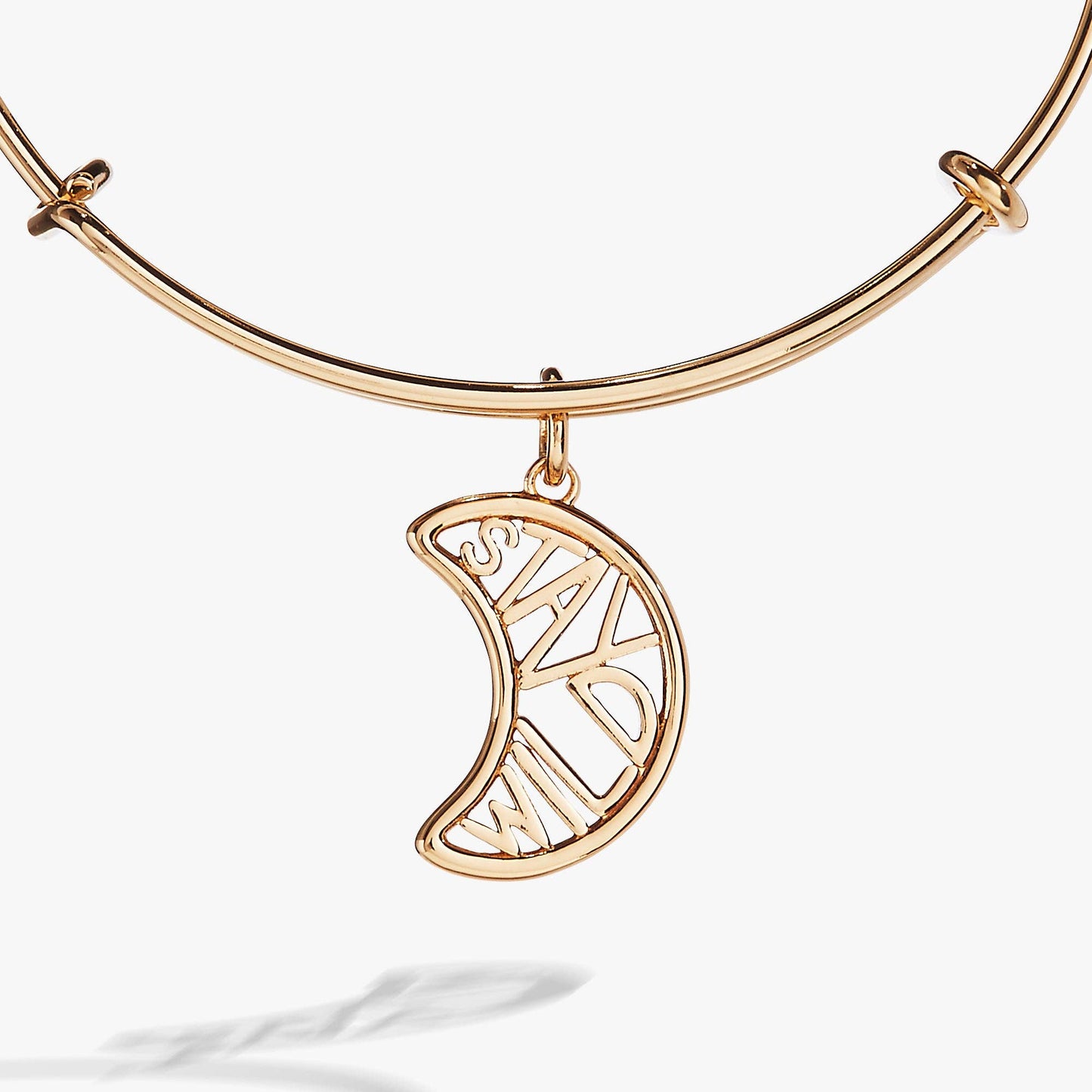 Stay Wild Charm Bangle