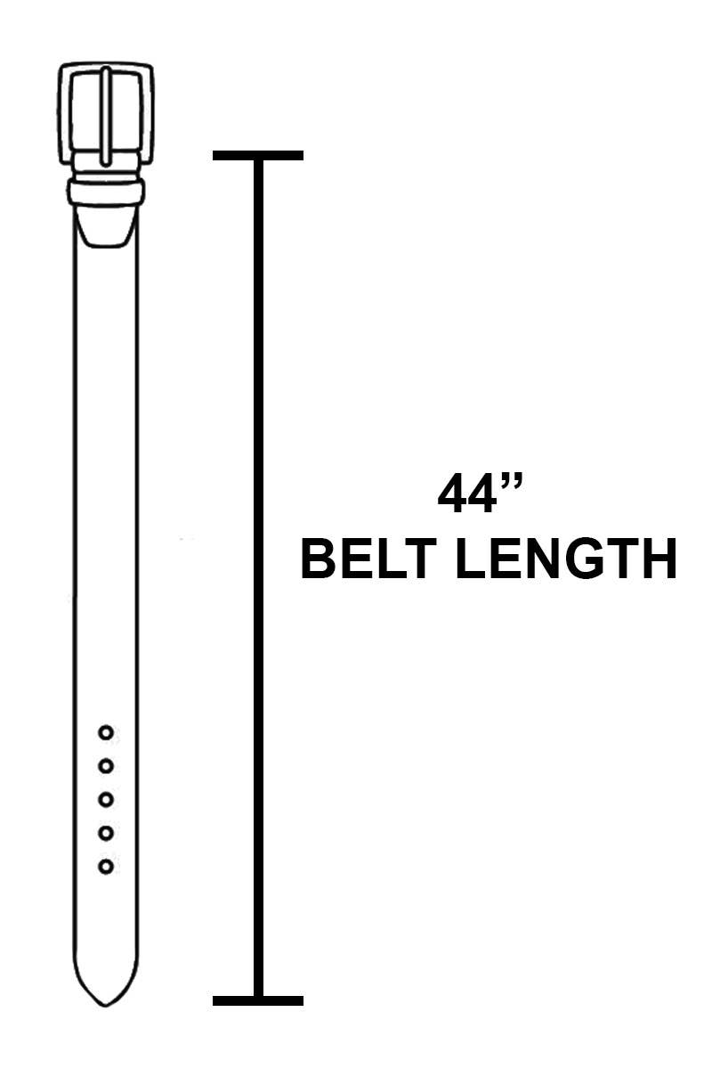 Western Bohemian Disc Belt