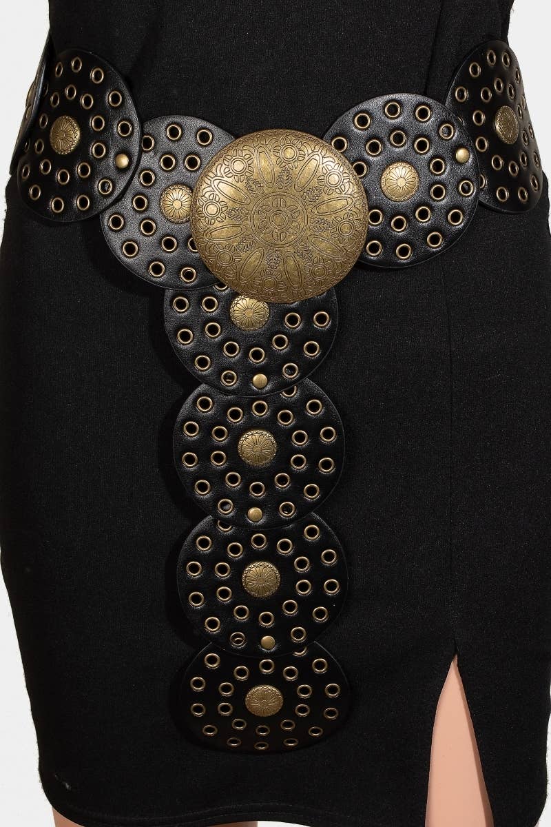 Western Bohemian Disc Belt