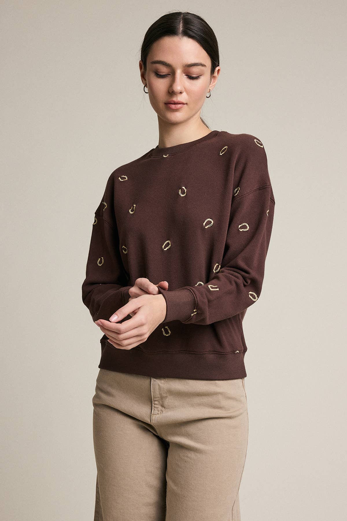 Embroidered Horseshoe Sweatshirt - Brown