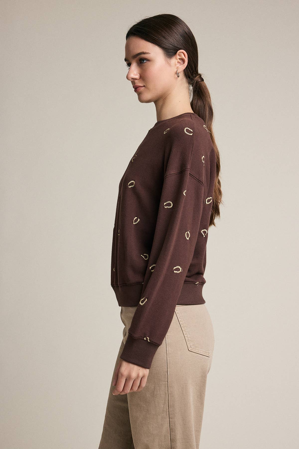 Embroidered Horseshoe Sweatshirt - Brown