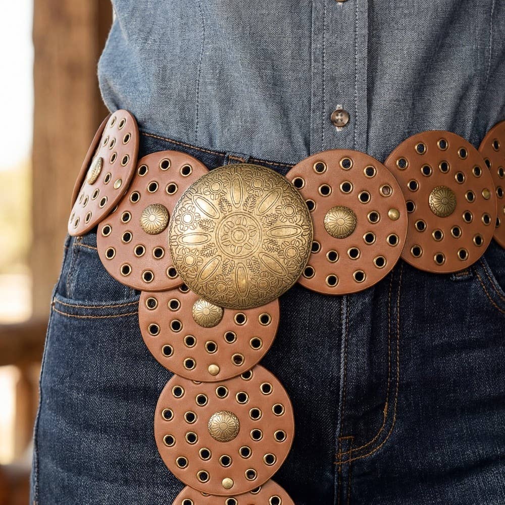 Western Bohemian Disc Belt