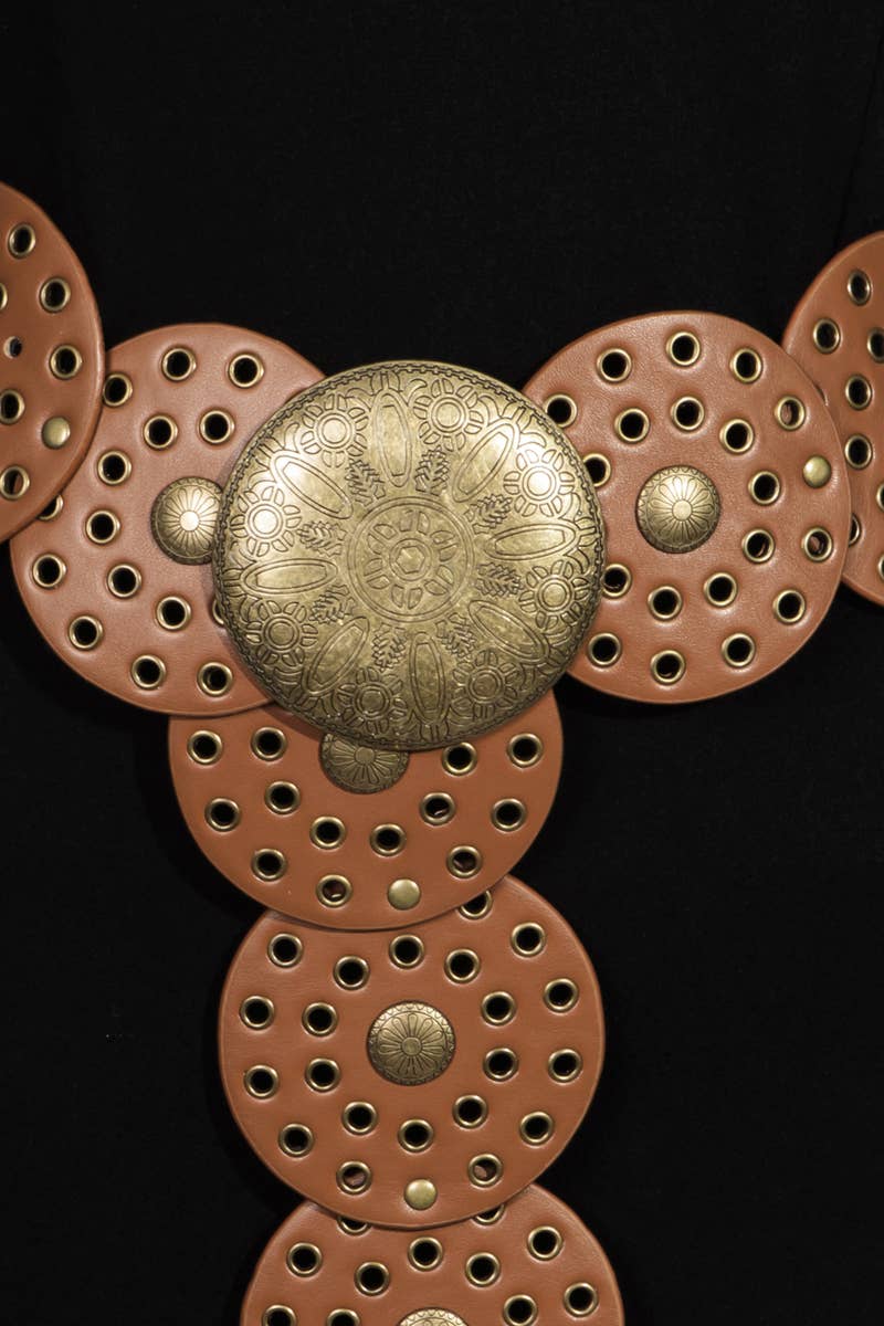 Western Bohemian Disc Belt