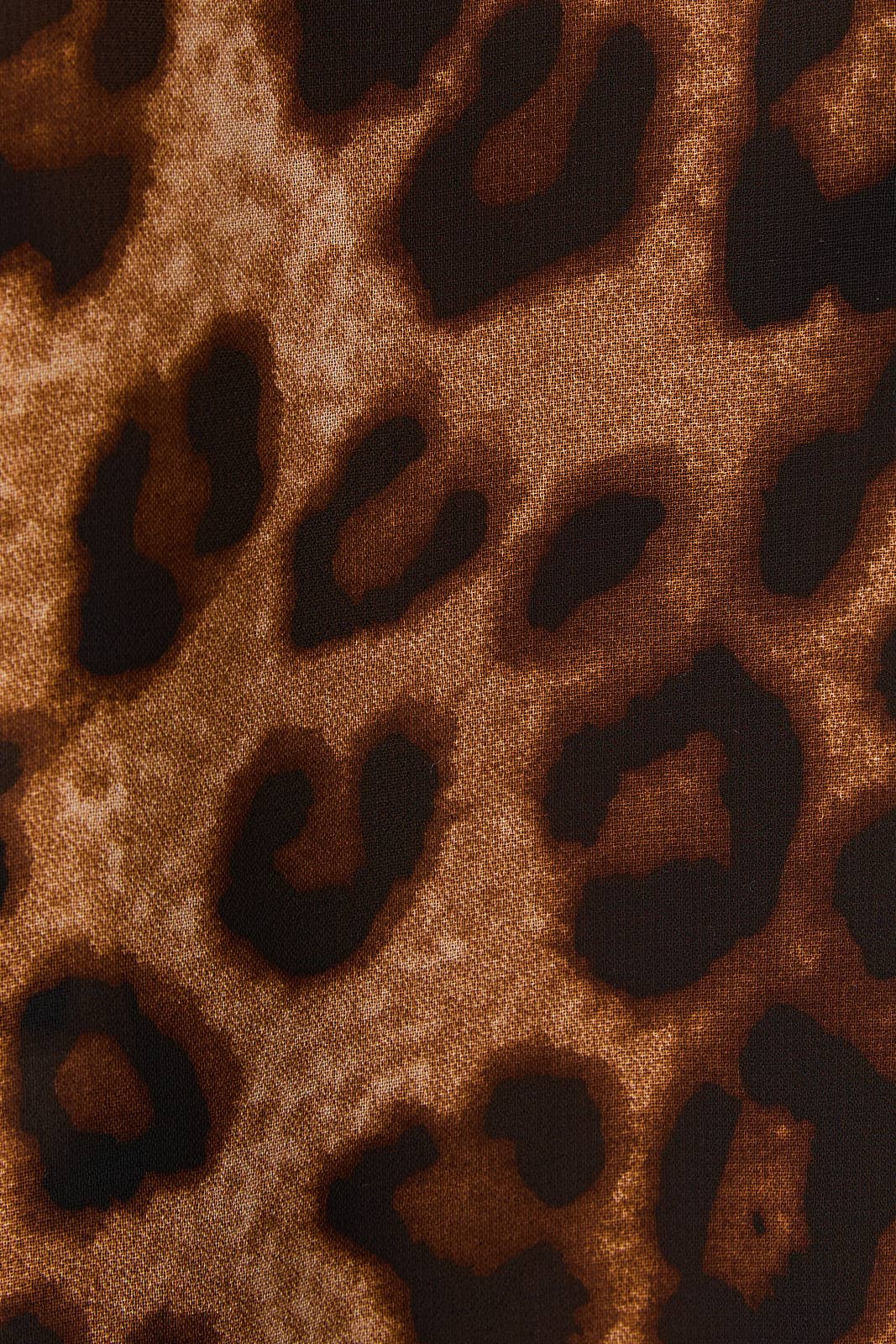 Leopard Blouse