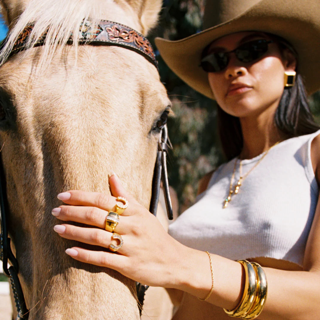 Rodeo Ring - Ginneca Row