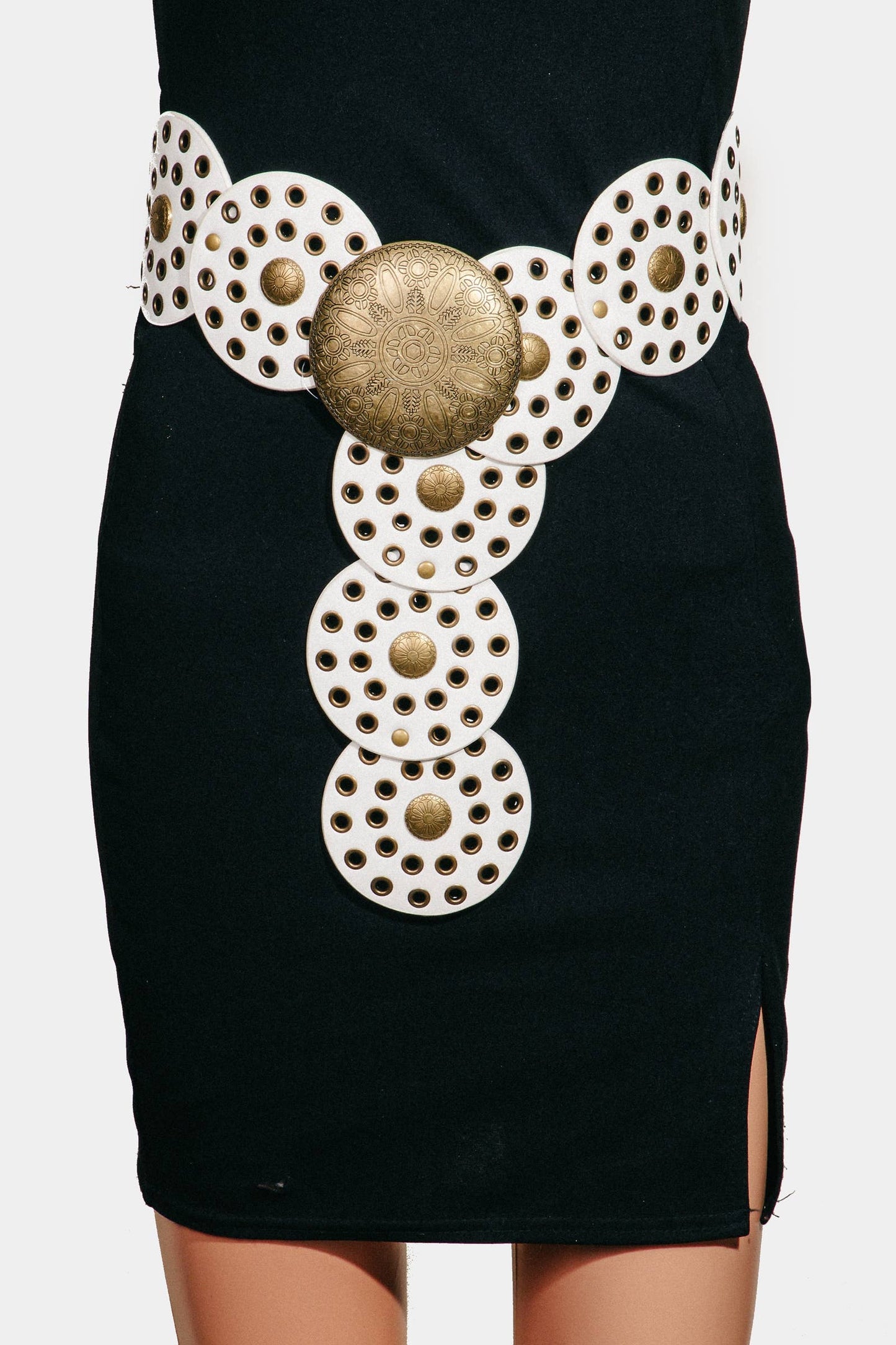 Western Bohemian Disc Belt