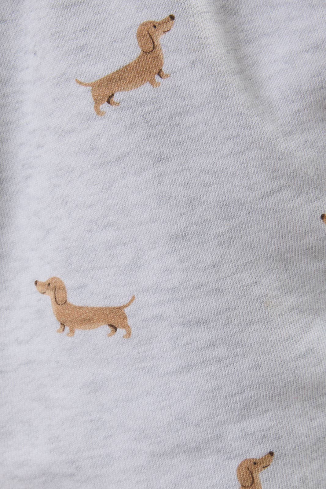 Dachshund Shorts