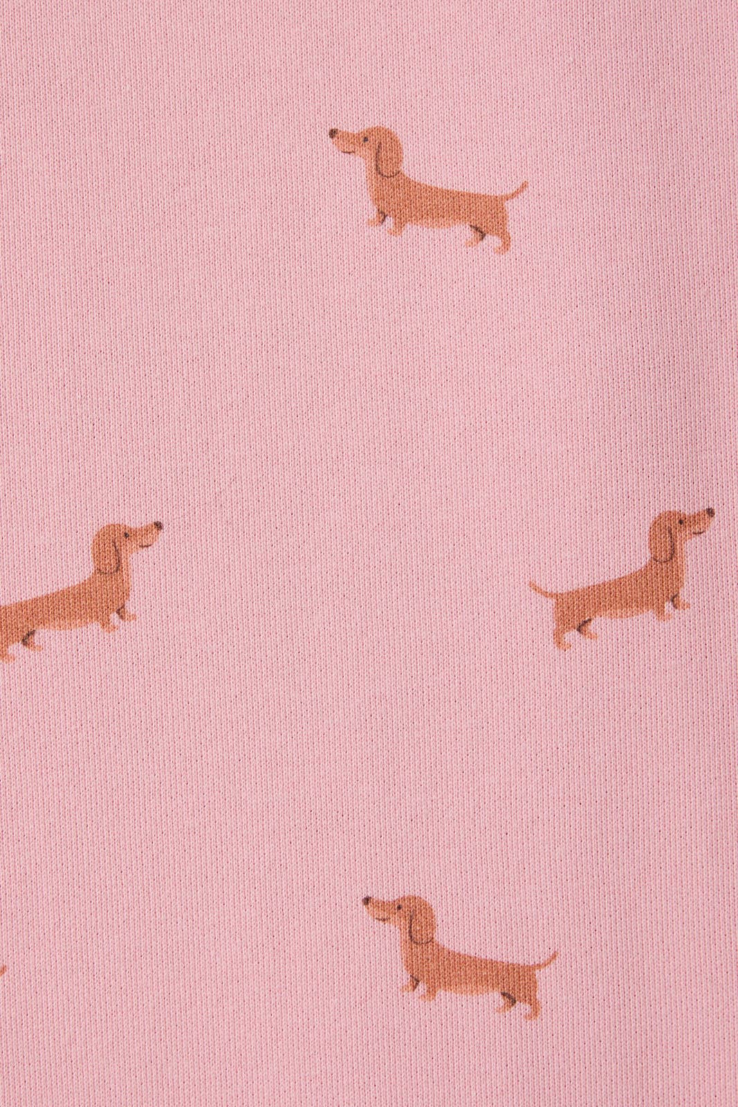 Dachshund Shorts