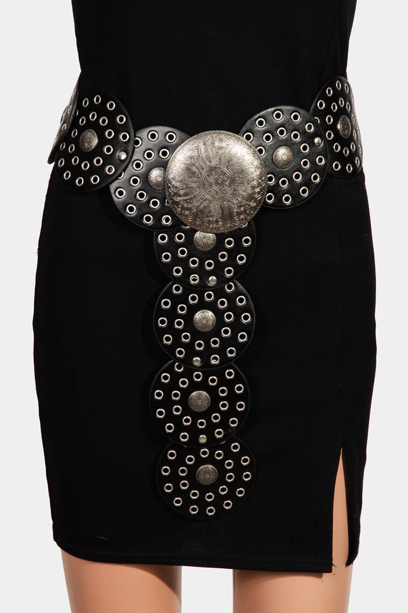 Western Bohemian Disc Belt